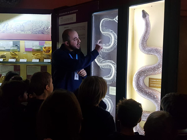 Salida al Museo de Ciencias Naturales
